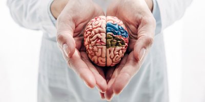 A 3 leghatékonyabb idegvédő vitamin