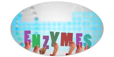 Ezek a legfontosabb emésztőenzimek,  és ezt okozhatja a hiányuk