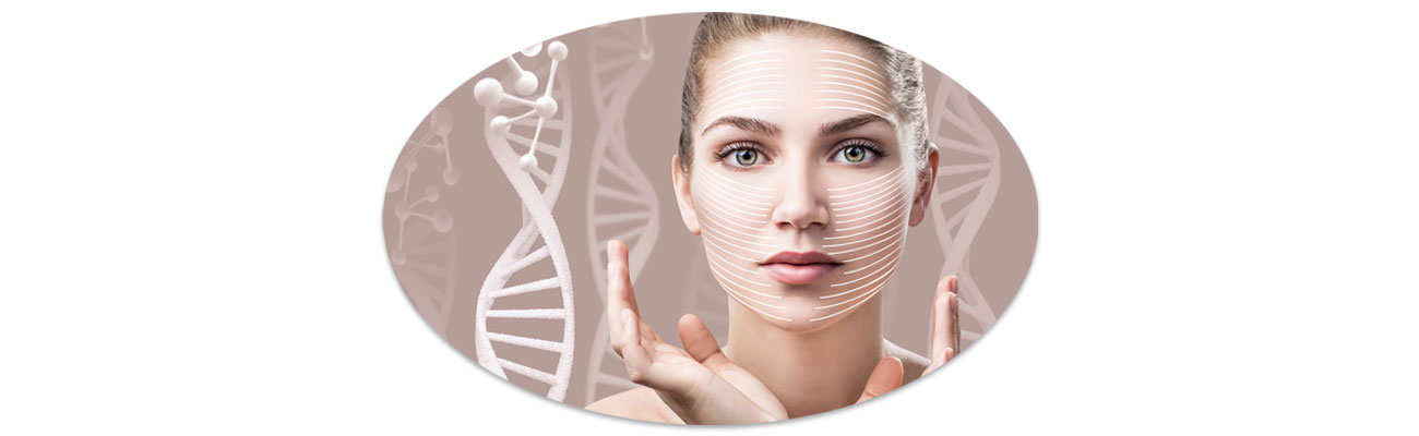 Longevity 3.0: Bőrünk öregedésének tudományos folyamata - és amivel ezt lassíthatod