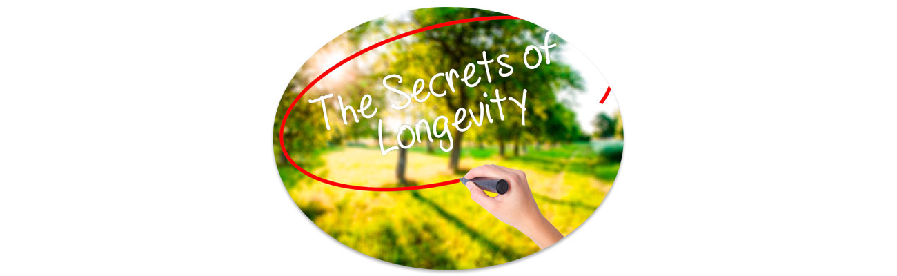 Longevity tippek: avagy 10 bevált módszer az öregedés lassítására